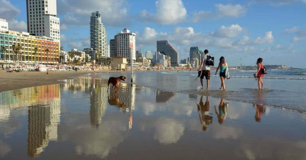 מלון דרים ביץ' תל אביב