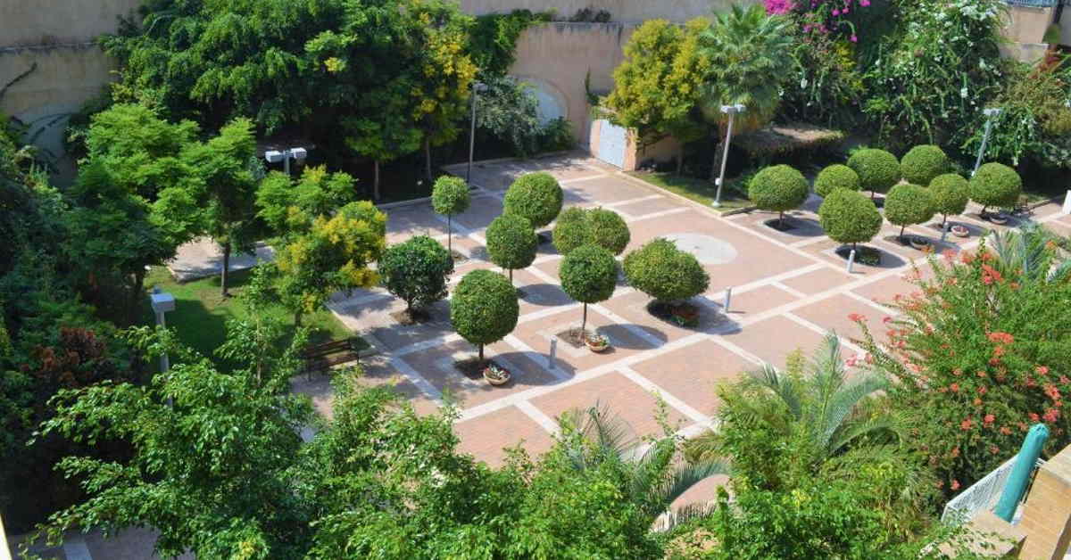 בית חוויתי ביפו תל אביב