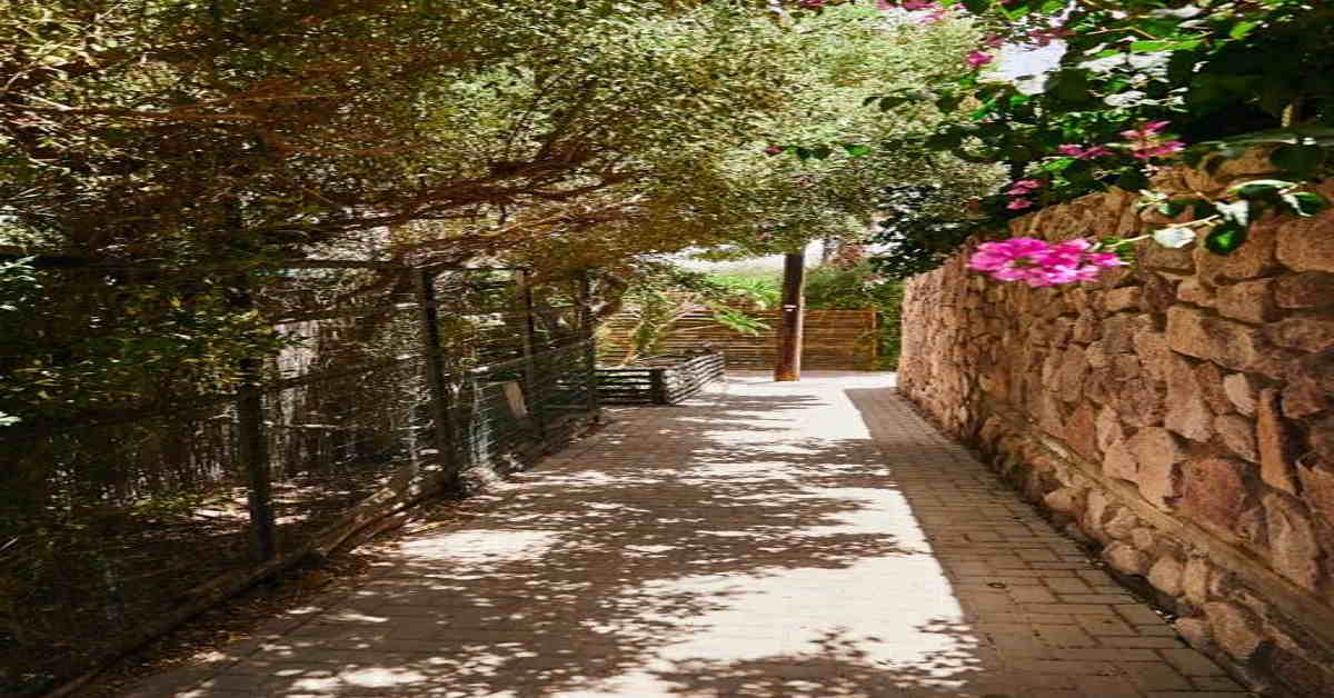 בתי נופש 179 דירות אילת