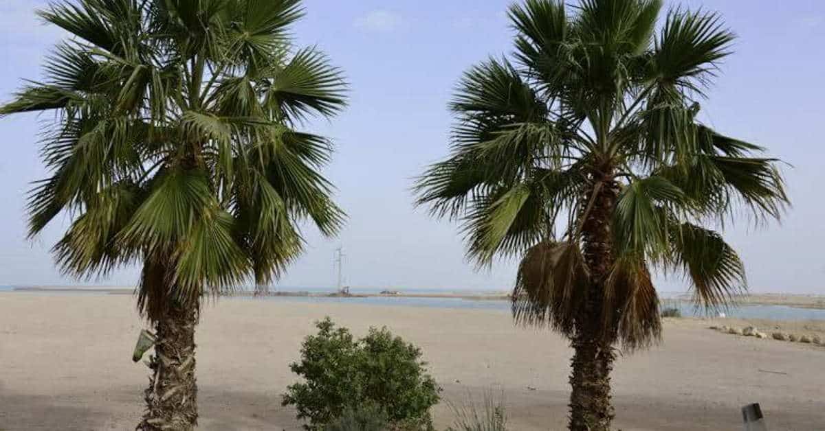 צימרים בנווה זוהר ים המלח