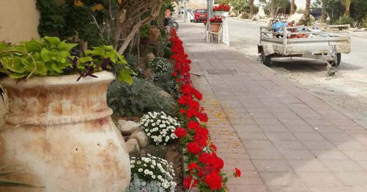 צימרים בנווה זוהר ים המלח