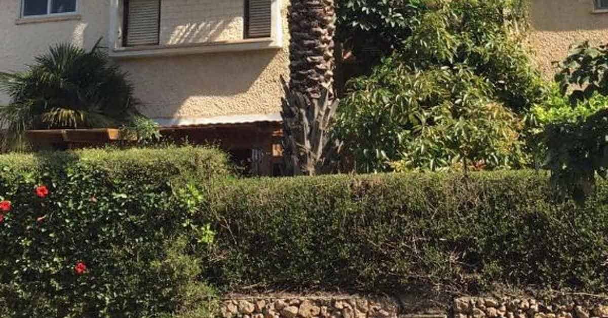דירת קוז'י רום הרצליה