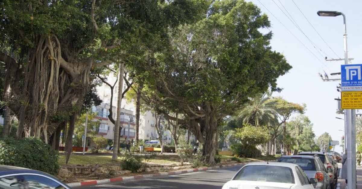 דירות הולידיי אין בת ים