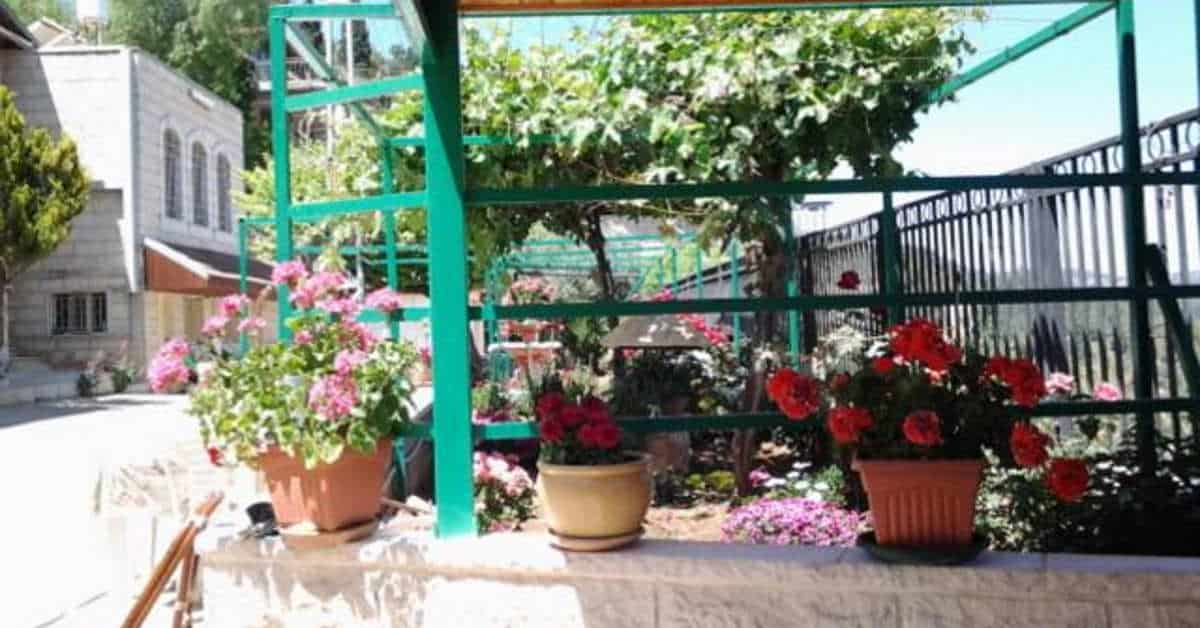 בית הארחה רוזרי סיסטר עין כרם ירושלים