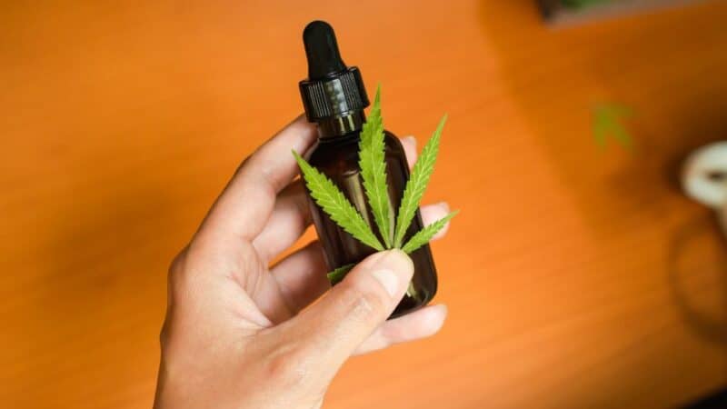 שמן CBD